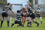 26 February 2011; Dave Ryan, Dolphin, in action against Danny Riordan, left, Jason Risdon and Vinny Soden, right, Old Belvedere. Ulster Bank League Division 1A, Old Belvedere v Dolphin, Old Belvedere RFC, Anglesea Road, Dublin. Photo by Sportsfile