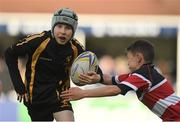 15 October 2016; Action from the Bank of Ireland Minis game between Malahide RFC and Wicklow RFC at half time during the European Rugby Champions Cup Pool 4 Round 1 match between Leinster and Castres at the RDS Arena in Dublin. Photo by Brendan Moran/Sportsfile