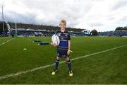 15 October 2016; Leinster matchday mascot Harry Phelan ahead of the European Rugby Champions Cup Pool 4 Round 1 match between Leinster and Castres at the RDS Arena in Dublin. Photo by Stephen McCarthy/Sportsfile