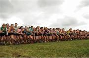 16 October 2016; A general view of the start of the women's senior race during the Autumn Open Cross Country Festival at the National Sports Campus in Abbotstown, Dublin. Photo by Sam Barnes/Sportsfile