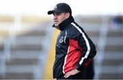 16 October 2016; Frank Flannery manager of Oulart-The Ballagh during the Wexford County Senior Club Hurling Championship Final game between Cloughbawn and Oulart-The Ballagh at Wexford Park in Wexford. Photo by Matt Browne/Sportsfile