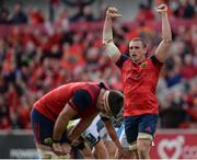 22 October 2016; Tommy O'Donnell of Munster celebrates his team's victory following the European Rugby Champions Cup Pool 1 Round 2 match between Munster and Glasgow Warriors at Thomond Park in Limerick. Photo by Seb Daly/Sportsfile