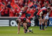 22 October 2016; Jaco Taute of Munster reacts at the final whistle following the European Rugby Champions Cup Pool 1 Round 2 match between Munster and Glasgow Warriors at Thomond Park in Limerick. Photo by Seb Daly/Sportsfile