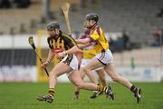 6 March 2011; P.J. Delaney, Kilkenny, in action against Paul Roche, Wexford. Allianz Hurling League Division 1 Round 3, Kilkenny v Wexford, Nowlan Park, Kilkenny. Picture credit: Stephen McCarthy / SPORTSFILE