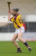 6 March 2011; Jim Berry, Wexford. Allianz Hurling League Division 1 Round 3, Kilkenny v Wexford, Nowlan Park, Kilkenny. Picture credit: Stephen McCarthy / SPORTSFILE