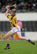 6 March 2011; Jim Berry, Wexford. Allianz Hurling League Division 1 Round 3, Kilkenny v Wexford, Nowlan Park, Kilkenny. Picture credit: Stephen McCarthy / SPORTSFILE