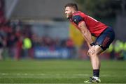 22 October 2016; Jaco Taute of Munster during the European Rugby Champions Cup Pool 1 Round 2 match between Munster and Glasgow Warriors at Thomond Park in Limerick. Photo by Brendan Moran/Sportsfile