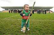 23 October 2016; Sam Hannify, age 1, son of Birr's Rory Hannify, ahead of the Offaly County Senior Club Hurling Championship Final game between St Rynagh's and Birr at O'Connor Park in Tullamore, Co Offaly. Photo by Cody Glenn/Sportsfile