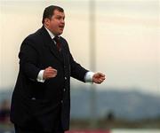 18 November 2001; St Patrick's Athletic Manager Pat Dolan during the eircom League Premier Division match between Bray Wanderers and St Patrick's Athletic at the Carlisle Grounds in Bray, Wicklow. Photo by Ray Lohan/Sportsfile