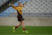 26 October 2016; Holy Trinity SNS, Donaghmede, goalkeeper Anthony Jackson celebrates a score for his team on their way to beating Our Lady of Good Counsel BNS, Johnstown in the Sciath Corn Chumann na nGael final during the Allianz Cumann na mBunscol Finals at Croke Park in Dublin. Photo by Piaras Ó Mídheach/Sportsfile
