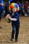 29 October 2016; 4 year old Leinster supporter Harry Boucher from Donnybrook, Dublin ahead of the Guinness PRO12 Round 7 match between Leinster and Connacht at the RDS Arena, Ballsbridge, in Dublin. Photo by Ramsey Cardy/Sportsfile