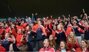 29 October 2016; Cuala supporters celebrate a late score during the Dublin County Senior Club Hurling Championship Final at Parnell Park in Dublin. Photo by Daire Brennan/Sportsfile
