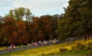 30 October 2016; A general view of runners making their way through Pheonix Park during the SSE Airtricity Dublin Marathon 2016 in Dublin City. 19,500 runners took to the Fitzwilliam Square start line to participate in the 37th running of the SSE Airtricity Dublin Marathon, making it the fourth largest marathon in Europe. Photo by Ramsey Cardy/Sportsfile