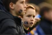 29 October 2016; Leinster supporters during the Guinness PRO12 Round 7 match between Leinster and Connacht at the RDS Arena, Ballsbridge, in Dublin. Photo by Stephen McCarthy/Sportsfile