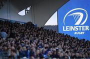 29 October 2016; Leinster supporters watch on during the Guinness PRO12 Round 7 match between Leinster and Connacht at the RDS Arena, Ballsbridge, in Dublin. Photo by Stephen McCarthy/Sportsfile