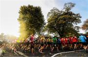 30 October 2016; A general view of runners making their way through Pheonix Park during the SSE Airtricity Dublin Marathon 2016 in Dublin City. 19,500 runners took to the Fitzwilliam Square start line to participate in the 37th running of the SSE Airtricity Dublin Marathon, making it the fourth largest marathon in Europe.  Photo by Ramsey Cardy/Sportsfile