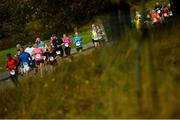 30 October 2016; A general view of runners making their way through Pheonix Park during the SSE Airtricity Dublin Marathon 2016 in Dublin City. 19,500 runners took to the Fitzwilliam Square start line to participate in the 37th running of the SSE Airtricity Dublin Marathon, making it the fourth largest marathon in Europe.  Photo by Ramsey Cardy/Sportsfile