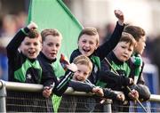 30 October 2016; Stradbally supporters cheer on their team during the AIB Leinster GAA Football Senior Club Championship first round game between St Columbas Mullinalaghta and Stradbally at Glennon Brothers Pearse Park in Longford. Photo by David Maher/Sportsfile