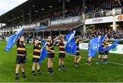 29 October 2016; Skerries flagbearers ahead of the Guinness PRO12 Round 7 match between Leinster and Connacht at the RDS Arena, Ballsbridge, in Dublin. Photo by Ramsey Cardy/Sportsfile