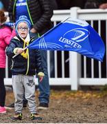 29 October 2016; Leinster supporters ahead of the Guinness PRO12 Round 7 match between Leinster and Connacht at the RDS Arena, Ballsbridge, in Dublin. Photo by Ramsey Cardy/Sportsfile