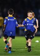 29 October 2016; Action from the Bank of Ireland Minis game between Ratoath RFC and Enniscorthy RFC at half time during the Guinness PRO12 Round 7 match between Leinster and Connacht at the RDS Arena, Ballsbridge, in Dublin. Photo by Ramsey Cardy/Sportsfile