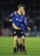 29 October 2016; Action from the Bank of Ireland Minis game between Ratoath RFC and Enniscorthy RFC at half time during the Guinness PRO12 Round 7 match between Leinster and Connacht at the RDS Arena, Ballsbridge, in Dublin. Photo by Ramsey Cardy/Sportsfile