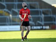6 November 2016; Billy Dunne of Oulart-The Ballagh celebrates after the final whistle during the AIB Leinster GAA Hurling Senior Club Championship quarter-final game between Oulart-The Ballagh and St Rynagh's at Innovate Wexford Park in Wexford. Photo by Matt Browne/Sportsfile