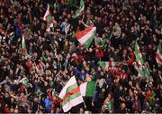 6 November 2016; Cork City supporters celebrate as their team raise the cup followiing the Irish Daily Mail FAI Cup Final match between Cork City and Dundalk at Aviva Stadium in Lansdowne Road, Dublin. Photo by Stephen McCarthy/Sportsfile