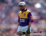 14 June 1998; Paul Codd of Wexford during the Guinness Leinster Senior Hurling Championship Semi-Final match between Offaly and Wexford at Croke Park in Dublin. Photo by Ray McManus/Sportsfile