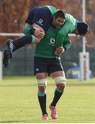 17 November 2016; Billy Holland and Sean O'Brien of Ireland during squad training at Carton House, Maynooth, Co. Kildare. Photo by Matt Browne/Sportsfile