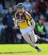 3 April 2011; Jim Berry, Wexford. Allianz Hurling League Division 1 Round 6, Wexford v Cork, Wexford Park, Wexford. Picture credit: Matt Browne / SPORTSFILE
