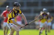 3 April 2011; Jim Berry, Wexford. Allianz Hurling League Division 1 Round 6, Wexford v Cork, Wexford Park, Wexford. Picture credit: Matt Browne / SPORTSFILE