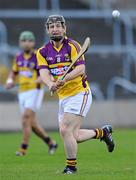 3 April 2011; Michael Jacob, Wexford. Allianz Hurling League Division 1 Round 6, Wexford v Cork, Wexford Park, Wexford. Picture credit: Matt Browne / SPORTSFILE