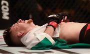 19 November 2016; Brett Johns following victory over Kwan Ho Kwak after their Bantamweight bout at UFC Fight Night 99 in the SSE Arena, Belfast. Photo by David Fitzgerald/Sportsfile