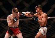 19 November 2016; Brett Johns, left, in action against Kwan Ho Kwak during their Bantamweight bout at UFC Fight Night 99 in the SSE Arena, Belfast. Photo by David Fitzgerald/Sportsfile