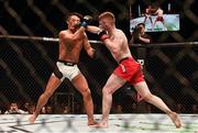 19 November 2016; Brett Johns, right, in action against Kwan Ho Kwak during their Bantamweight bout at UFC Fight Night 99 in the SSE Arena, Belfast. Photo by David Fitzgerald/Sportsfile