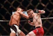 19 November 2016; Kwan Ho Kwak, left, in action against Brett Johns during their Bantamweight bout at UFC Fight Night 99 in the SSE Arena, Belfast. Photo by David Fitzgerald/Sportsfile