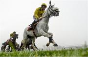 20 November 2016; Dalmatia, with Mark Enright up, on their way to winning the Total Event Rental Handicap Hurdle at Punchestown Racecourse in Naas, Co. Kildare. Photo by Ramsey Cardy/Sportsfile