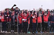 20 November 2016; Cuala supporters celebrate at the end of the AIB Leinster GAA Hurling Senior Club Championship semi-final match between St. Mullins and Cuala at Netwatch Cullen Park in Carlow. Photo by David Maher/Sportsfile