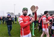 20 November 2016; Brian Fitzgerald of Cuala celebrates at the end of the AIB Leinster GAA Hurling Senior Club Championship semi-final match between St. Mullins and Cuala at Netwatch Cullen Park in Carlow. Photo by David Maher/Sportsfile