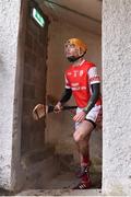 20 November 2016;  Paul Schutte of Cuala during the AIB Leinster GAA Hurling Senior Club Championship semi-final match between St. Mullins and Cuala at Netwatch Cullen Park in Carlow. Photo by David Maher/Sportsfile