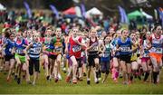 27 November 2016; Competitors in the under 12 race begin their run during the Irish Life Health National Cross Country Championships at the National Sports Campus in Abbotstown, Co Dublin. Photo by Cody Glenn/Sportsfile