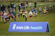 27 November 2016; Under 12 Boys' race finish during the Irish Life Health National Cross Country Championships at the National Sports Campus in Abbotstown, Co Dublin. Photo by Cody Glenn/Sportsfile