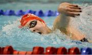 2 December 2016; Rachel Bethal of Lisburn SC on her way to winning the 800M Women's freestyle race at the Irish Short Course Swimming Championships at Lagan Valley Leisureplex in Lisburn, Co Antrim. Photo by Oliver McVeigh/Sportsfile