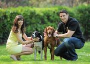 20 April 2011; Pictured at the launch of the 2011 Pedigree Adoption Drive are dog lovers, Munster and Ireland rugby star David Wallace, and TV Personality Aoibhinn Ní Shúilleabháin with their friends Zen the Collie and Rusty, a Red Setter / Labrador Cross, from the ISPCA. 45 dogs are abandoned in Ireland every day, 17 dogs are put to sleep. In order to help curb these startling figures, Pedigree has teamed up David and Aoibhinn for the 2011 Annual Pedigree Adoption Drive. St. Stephen's Green, Dublin. Picture credit: Brian Lawless / SPORTSFILE