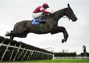 3 December 2016; Bel Ami De Sivola, with Sean Flanagan up, jump the last on their way to winning the Christmas Parties At Fairyhouse 17th December Rated Novice Hurdle during the Fairyhouse Winter Festival at Fairyhouse, Co. Meath. Photo by Cody Glenn/Sportsfile