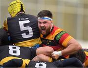 3 December 2016; Tyrone Moran of Lansdowne reacts during a maul in the Ulster Bank League Division 1A match between Lansdowne and Young Munster at Lansdowne Road in Dublin. Photo by Brendan Moran/Sportsfile