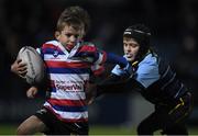3 December 2016; Action from the Bank of Ireland Minis game between North Kildare RFC and Navan RFC at the Guinness PRO12 Round 10 match between Leinster and Newport Gwent Dragons at the RDS Arena in Ballsbridge, Dublin. Photo by Brendan Moran/Sportsfile