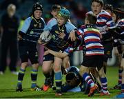 3 December 2016; Action from the Bank of Ireland Minis game between Navan RFC and North Kildare RFC at the Guinness PRO12 Round 10 match between Leinster and Newport Gwent Dragons at the RDS Arena in Ballsbridge, Dublin. Photo by Seb Daly/Sportsfile