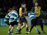 3 December 2016; Action from the Bank of Ireland Minis game between Gorey FC and Clondalkin RFC at the Guinness PRO12 Round 10 match between Leinster and Newport Gwent Dragons at the RDS Arena in Ballsbridge, Dublin. Photo by Seb Daly/Sportsfile